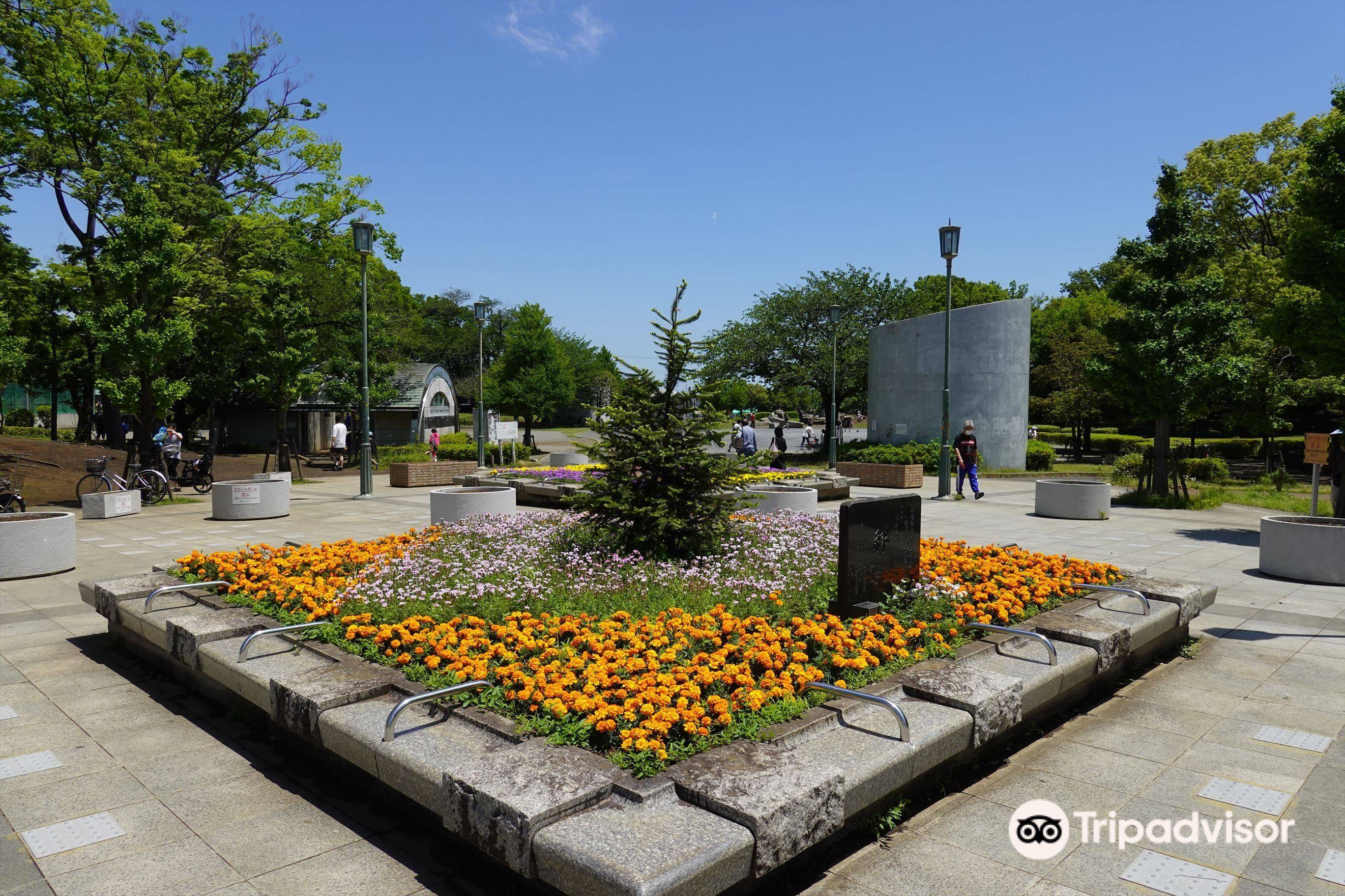 🌳 쇼난다이 공원 (湘南台公園) 이미지 4